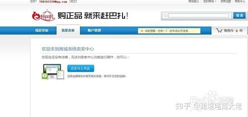 在家掘金 零基礎小買賣指南與電商入門解惑